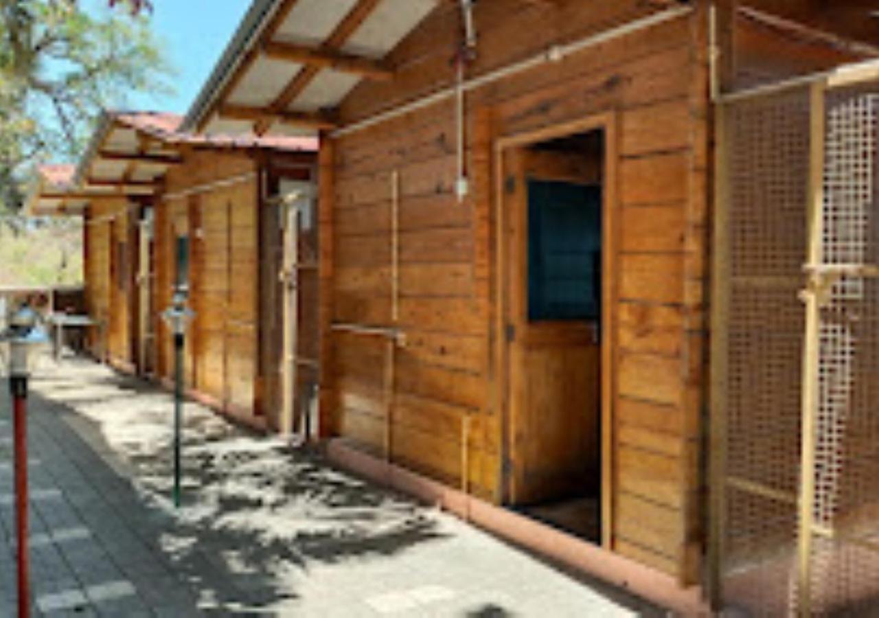 Kaas Woods Resort Yavateshwar 萨塔拉 外观 照片